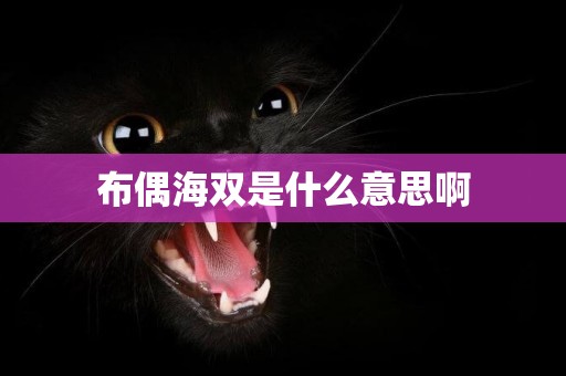 布偶海雙是什么意思啊