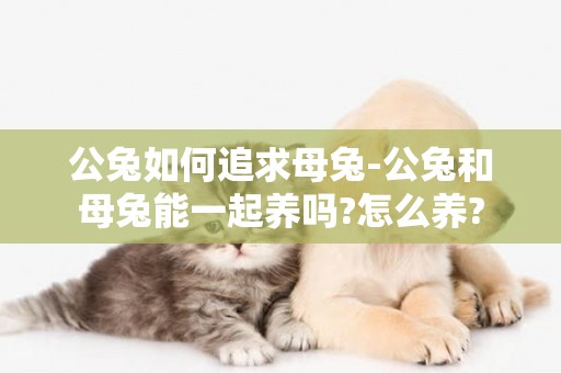 公兔如何追求母兔-公兔和母兔能一起養嗎?怎么養?
