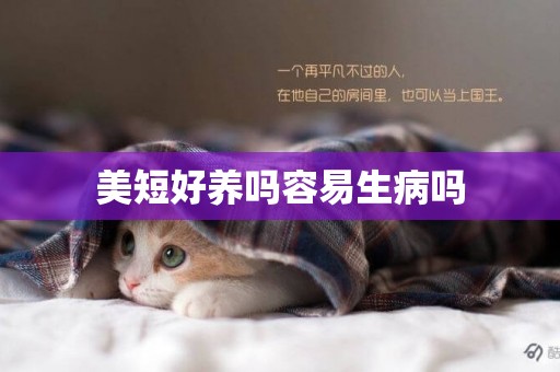 美短好養嗎容易生病嗎