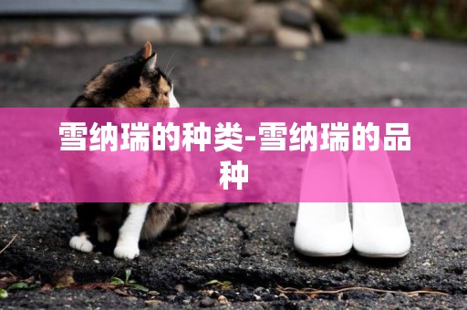 雪納瑞的種類-雪納瑞的品種