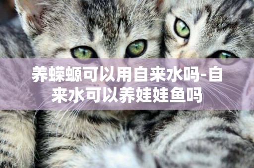 養蠑螈可以用自來水嗎-自來水可以養娃娃魚嗎