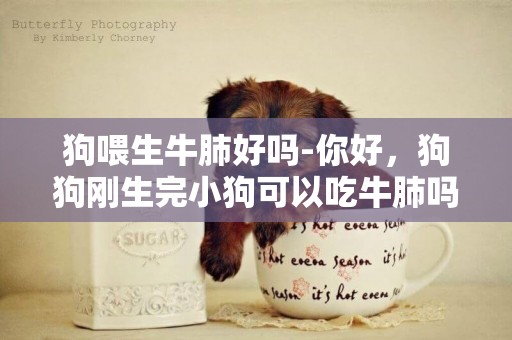 狗喂生牛肺好嗎-你好，狗狗剛生完小狗可以吃牛肺嗎