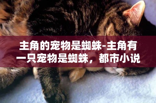 主角的寵物是蜘蛛-主角有一只寵物是蜘蛛，都市小說。