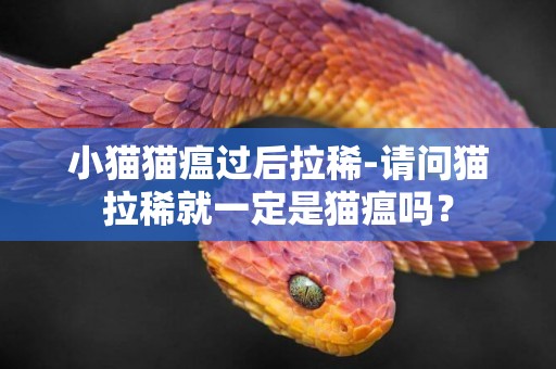 小貓貓瘟過后拉稀-請問貓拉稀就一定是貓瘟嗎？