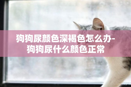 狗狗尿顏色深褐色怎么辦-狗狗尿什么顏色正常