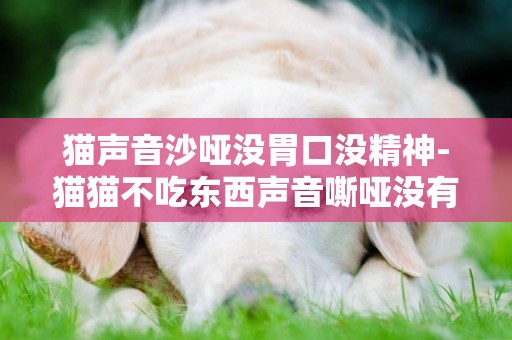 貓聲音沙啞沒胃口沒精神-貓貓不吃東西聲音嘶啞沒有精神怎么辦？