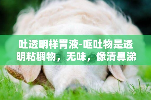吐透明樣胃液-嘔吐物是透明粘稠物，無味，像清鼻涕，感覺吐不完，還有就是未消化的食物