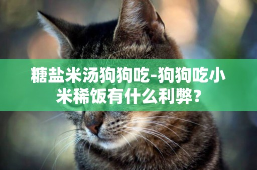 糖鹽米湯狗狗吃-狗狗吃小米稀飯有什么利弊？