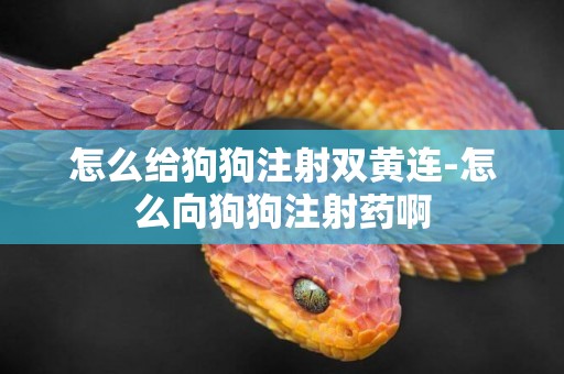 怎么給狗狗注射雙黃連-怎么向狗狗注射藥啊