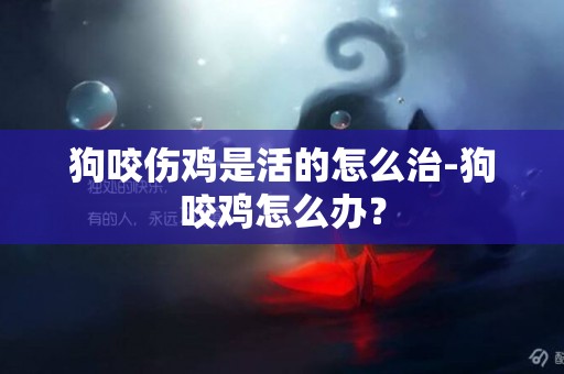 狗咬傷雞是活的怎么治-狗咬雞怎么辦？