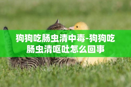 狗狗吃腸蟲清中毒-狗狗吃腸蟲清嘔吐怎么回事