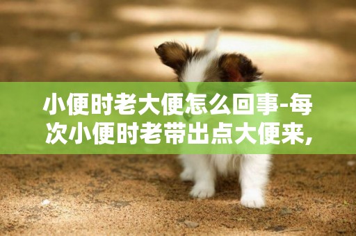小便時老大便怎么回事-每次小便時老帶出點大便來,怎么回事