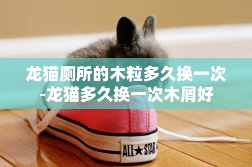 龍貓廁所的木粒多久換一次-龍貓多久換一次木屑好
