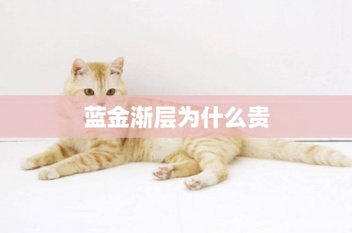 藍金漸層為什么貴