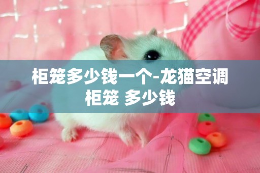 柜籠多少錢一個-龍貓空調柜籠 多少錢