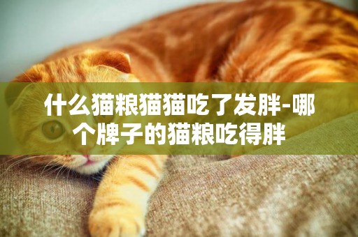 什么貓糧貓貓吃了發胖-哪個牌子的貓糧吃得胖