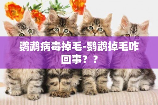 鸚鵡病毒掉毛-鸚鵡掉毛咋回事？？