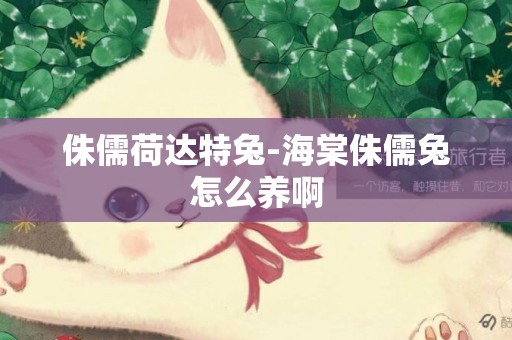 侏儒荷達特兔-海棠侏儒兔怎么養啊