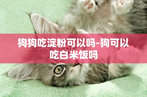狗狗吃淀粉可以嗎-狗可以吃白米飯嗎