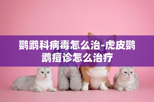 鸚鵡科病毒怎么治-虎皮鸚鵡痘診怎么治療