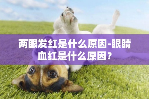 兩眼發紅是什么原因-眼睛血紅是什么原因？