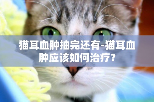 貓耳血腫抽完還有-貓耳血腫應該如何治療？