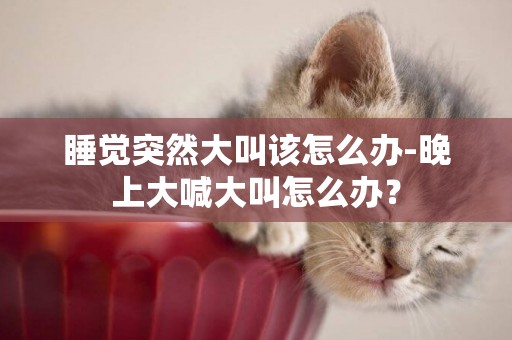 睡覺突然大叫該怎么辦-晚上大喊大叫怎么辦？