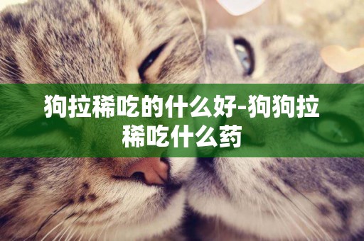 狗拉稀吃的什么好-狗狗拉稀吃什么藥