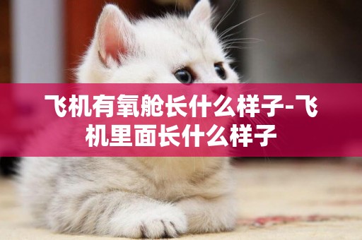 飛機有氧艙長什么樣子-飛機里面長什么樣子