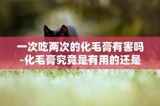 一次吃兩次的化毛膏有害嗎-化毛膏究竟是有用的還是有害的？