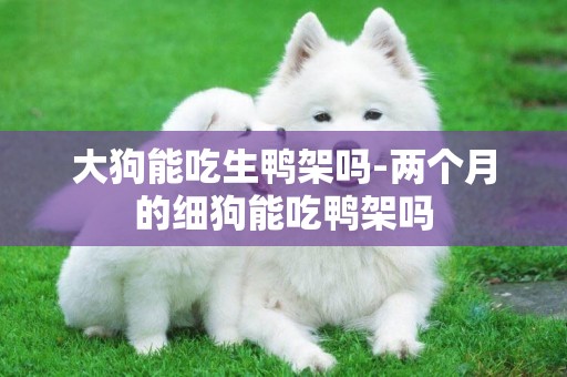 大狗能吃生鴨架嗎-兩個月的細狗能吃鴨架嗎