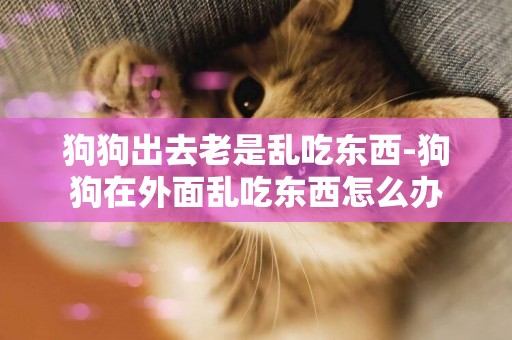狗狗出去老是亂吃東西-狗狗在外面亂吃東西怎么辦