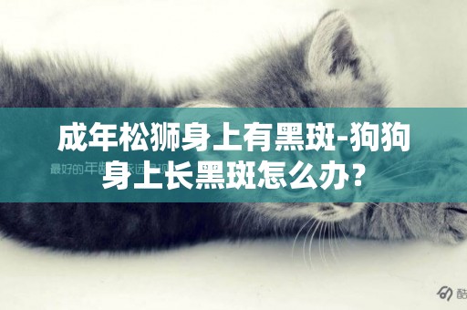 成年松獅身上有黑斑-狗狗身上長黑斑怎么辦？