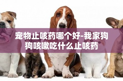 寵物止咳藥哪個好-我家狗狗咳嗽吃什么止咳藥