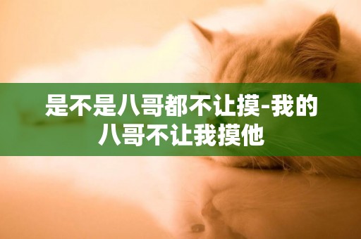 是不是八哥都不讓摸-我的八哥不讓我摸他
