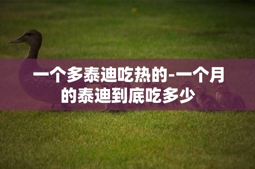 一個多泰迪吃熱的-一個月的泰迪到底吃多少