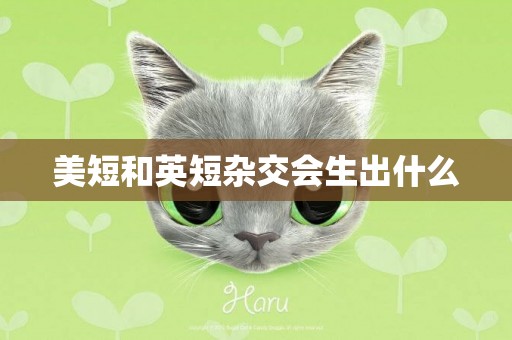 美短和英短雜交會生出什么