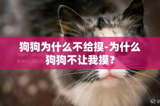 狗狗為什么不給摸-為什么狗狗不讓我摸？