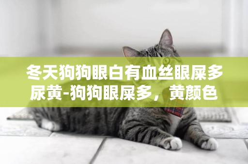 冬天狗狗眼白有血絲眼屎多尿黃-狗狗眼屎多，黃顏色，眼睛有血絲