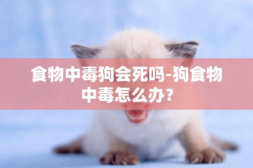 食物中毒狗會死嗎-狗食物中毒怎么辦？