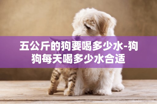 五公斤的狗要喝多少水-狗狗每天喝多少水合適