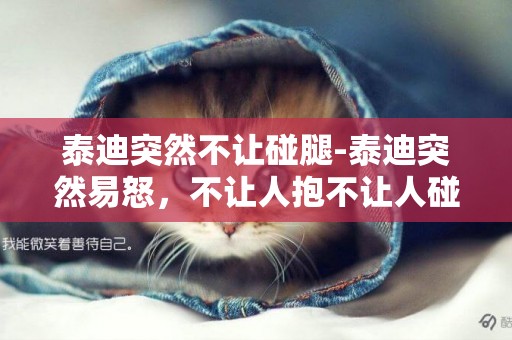 泰迪突然不讓碰腿-泰迪突然易怒，不讓人抱不讓人碰，怎么辦啊