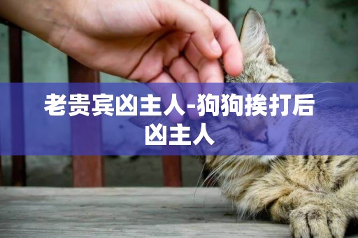老貴賓兇主人-狗狗挨打后兇主人