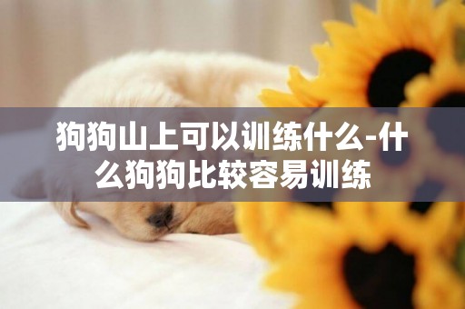 狗狗山上可以訓練什么-什么狗狗比較容易訓練