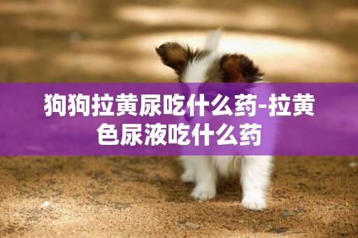 狗狗拉黃尿吃什么藥-拉黃色尿液吃什么藥