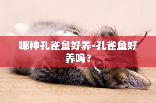 哪種孔雀魚好養-孔雀魚好養嗎？