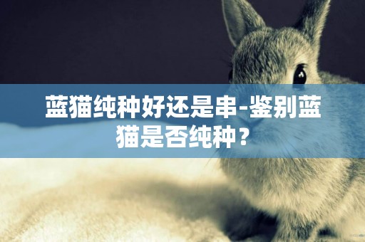 藍貓純種好還是串-鑒別藍貓是否純種？