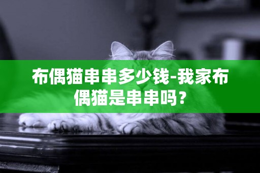 布偶貓串串多少錢-我家布偶貓是串串嗎？