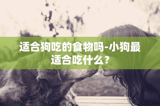 適合狗吃的食物嗎-小狗最適合吃什么？
