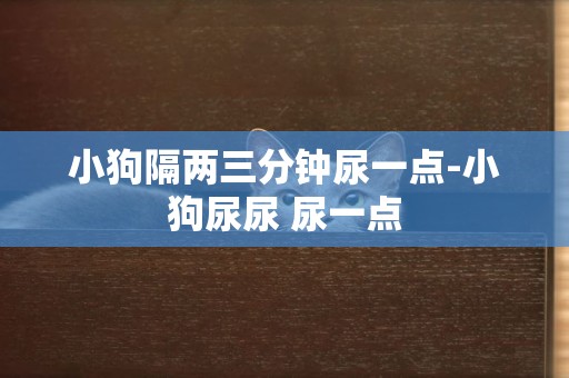 小狗隔兩三分鐘尿一點-小狗尿尿 尿一點
